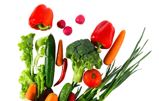 Fresh vegetables