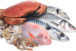 Fresh Fish